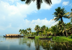 Package Image